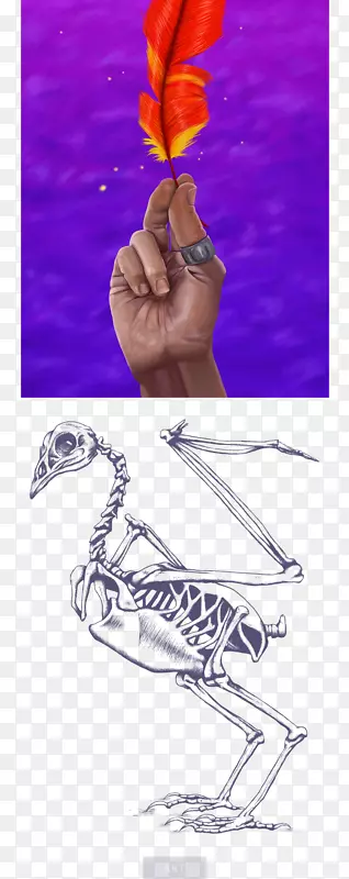 ƽ�������ָ���-������