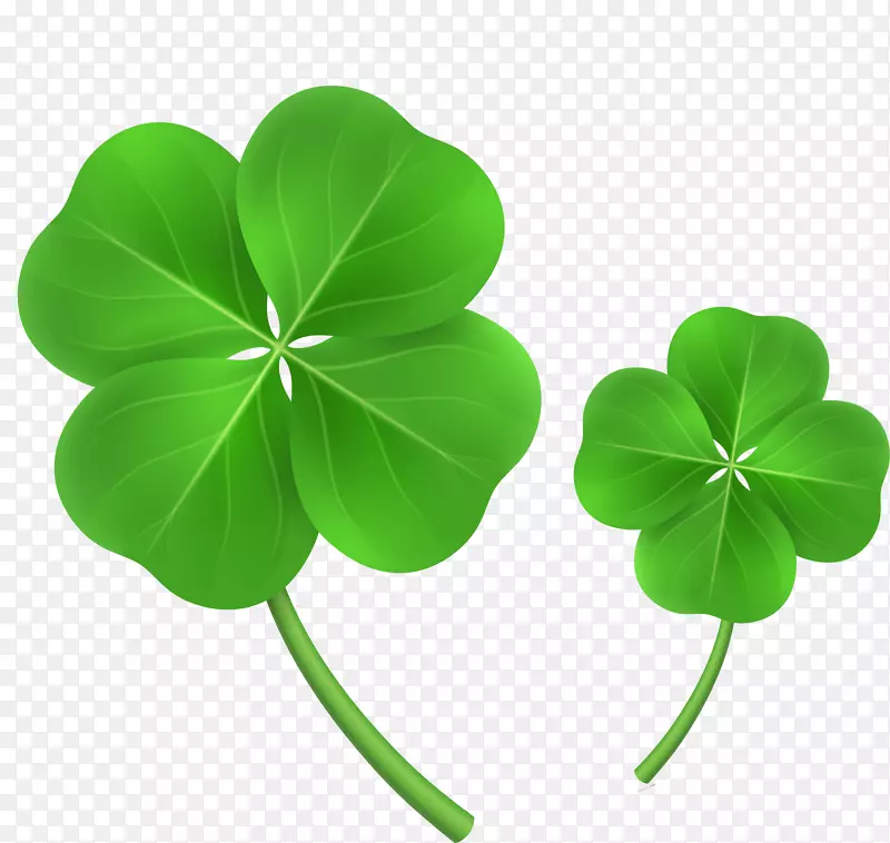 ��ɫ��Ҷ����Ҷ����Ҷ�������ֻ���Ҷ��-������