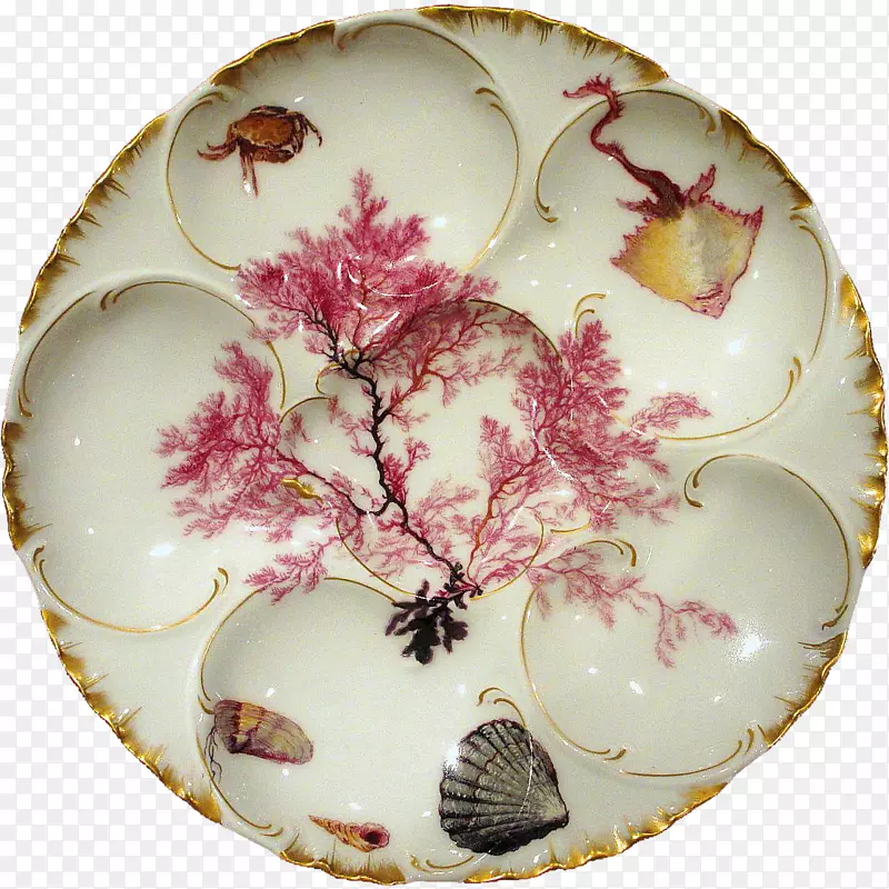 ���Ӵɵ��;�.����-������