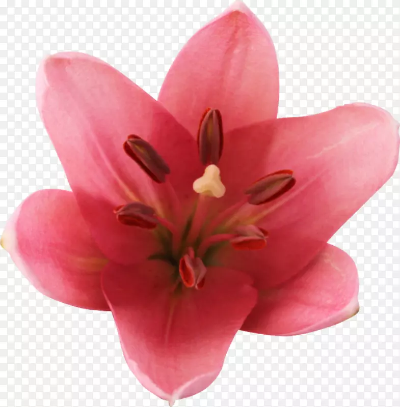 �ٺ��л����͵����ʼ�-��-������