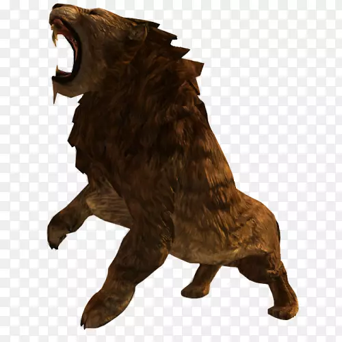 ʳ����½������-����-������