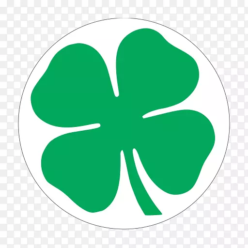 ������Ҷ��Ҷ����ֲ��廨����-������