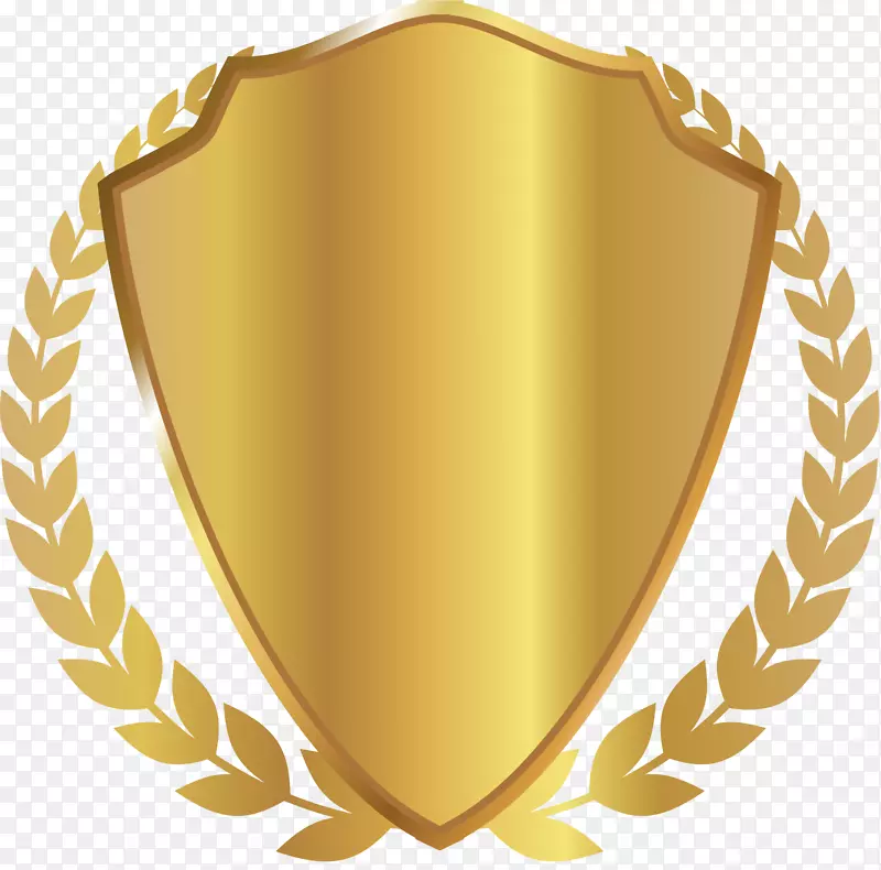 �����о�����ѧѧλְҵѧʿѧλ��ҫ����-������