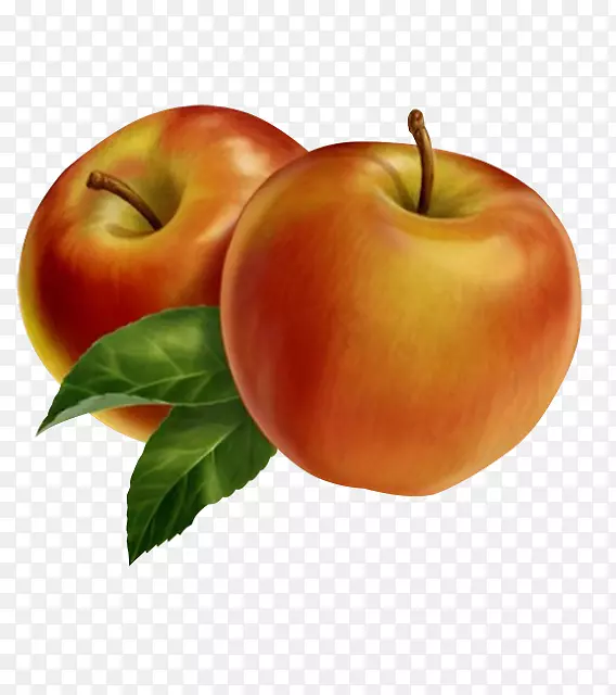 ��ֽ���滭����-������