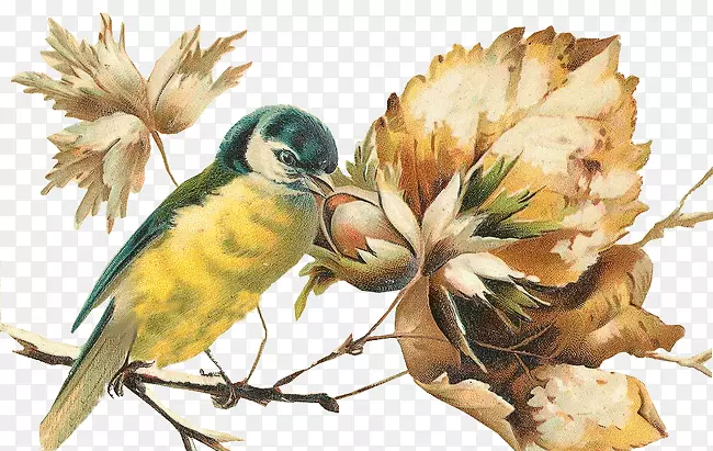 ��������-������