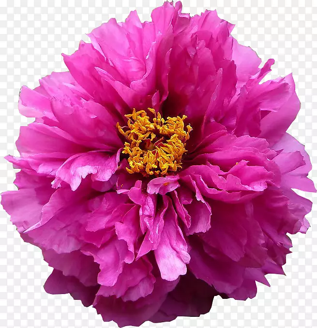 ĵ����-ĵ����-������