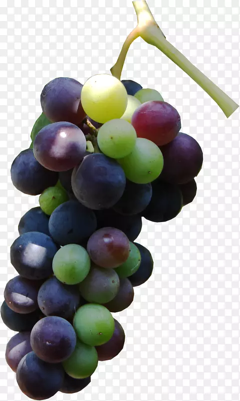 �մ������������޺�����-������