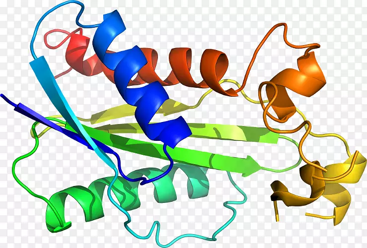 Ь�����߶����������-������