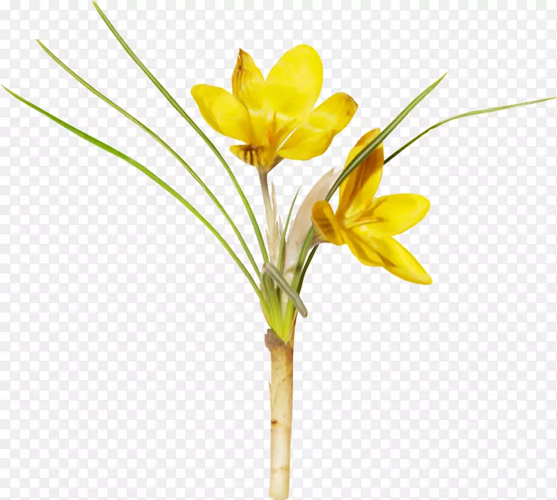 �廨����-������