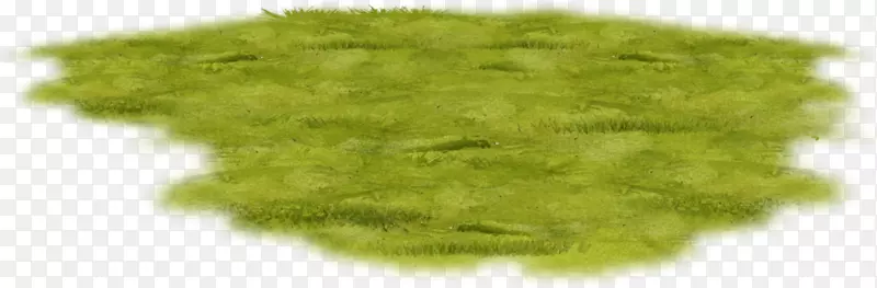 ��Ӱ������-������