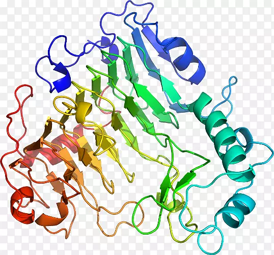 �ߵ�����������-������