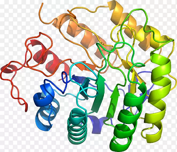 ���������л����߼�������-������