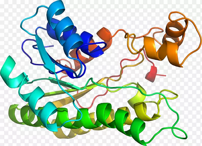 ���������л����߼�������-������