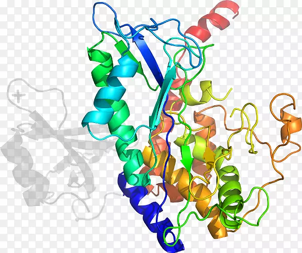 ���������л����߼�������-������