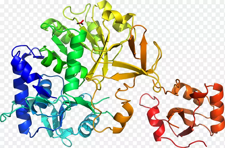 �����߶����������-������