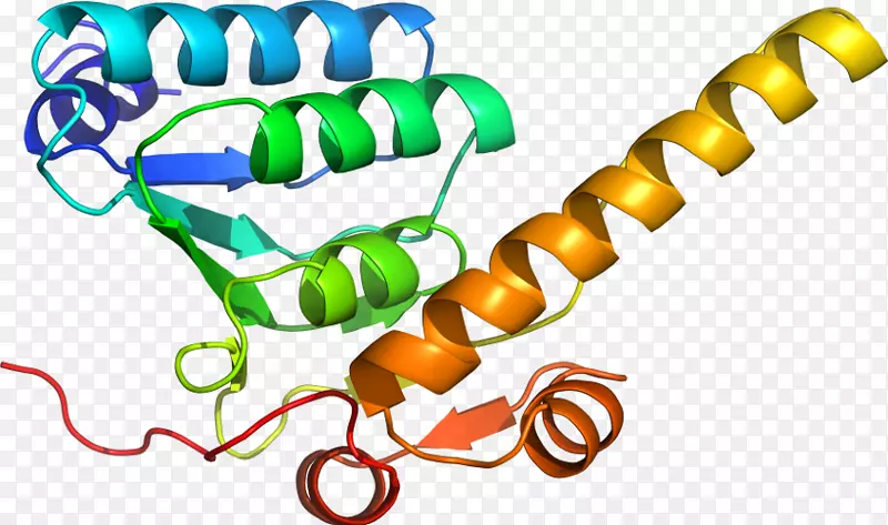 ���������л����߼�������-������