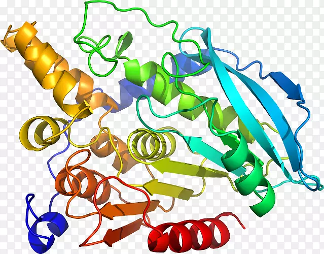 �ߵ������������-������