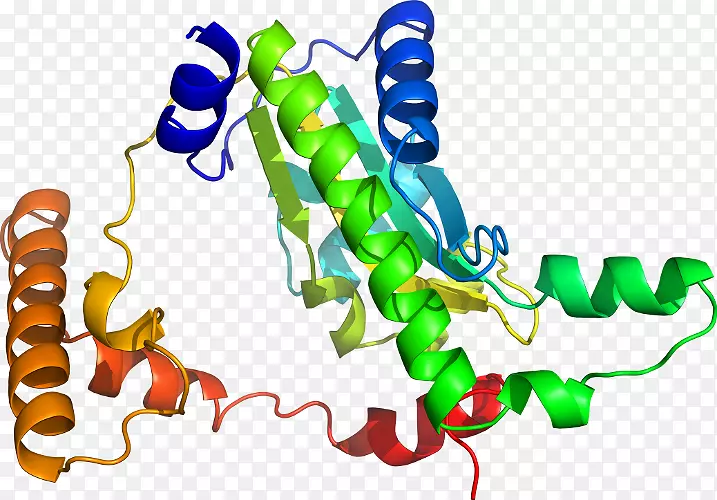 �޼�׵�����߶����������-������