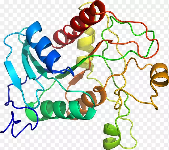 ���������л����߼�������-������