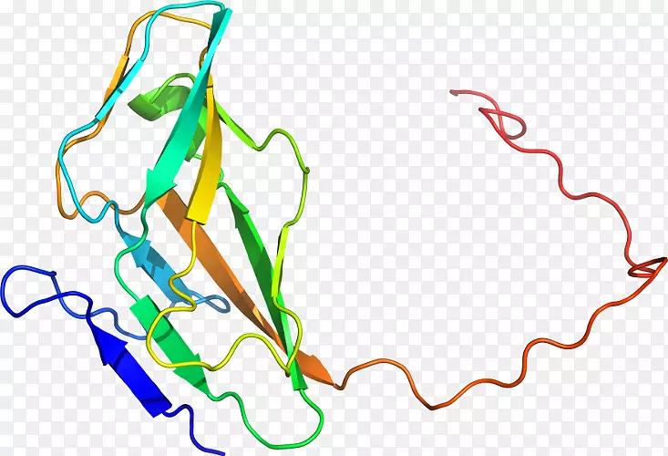 �ߵ������������-������