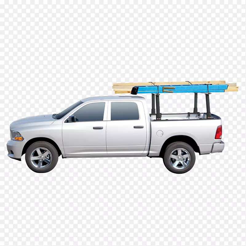 ѩ����Ƥ�����ﶳ����-������