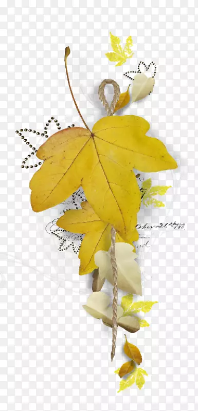 ʥ�����ͼ�����-ʥ����-������