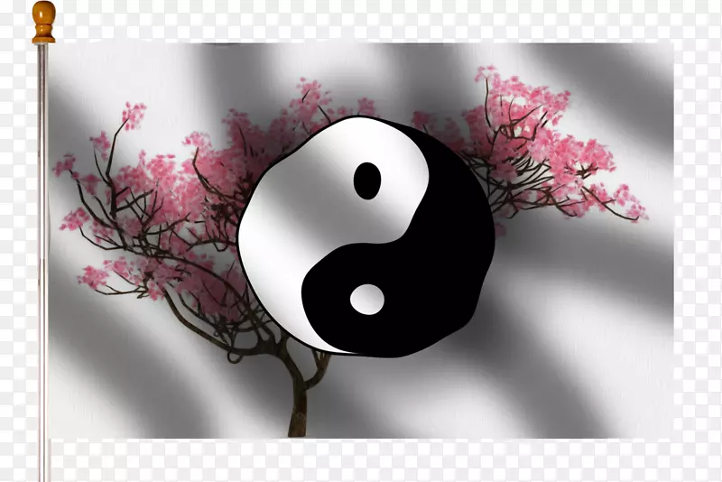 ̨ʽ��ֽ������д��ֽ����-������