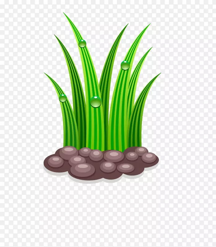 ԰�ս�ˮ���̲�-������