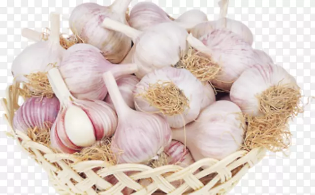 �Ű�������о���-����-������