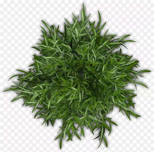 �ղ�-������