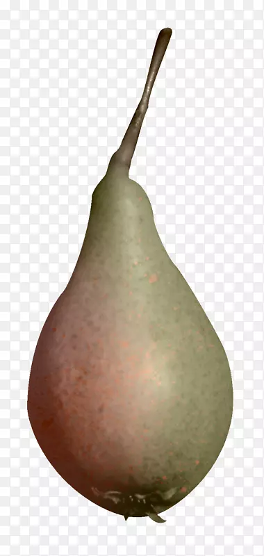 ŷ����-������