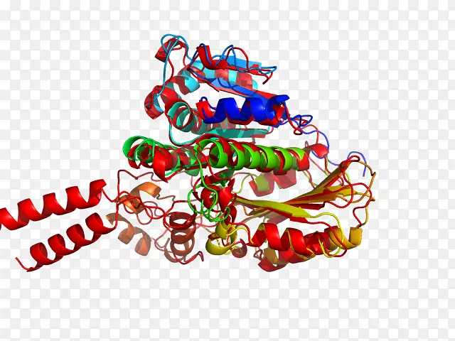 ʥ����Ʒ�����鱦������-ʥ����-������