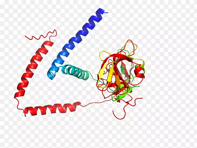 ��־�ߵ�������-������