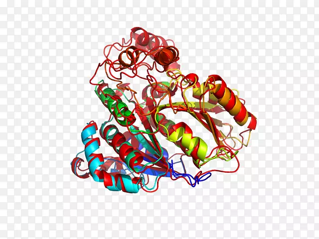 �������鱦����-������