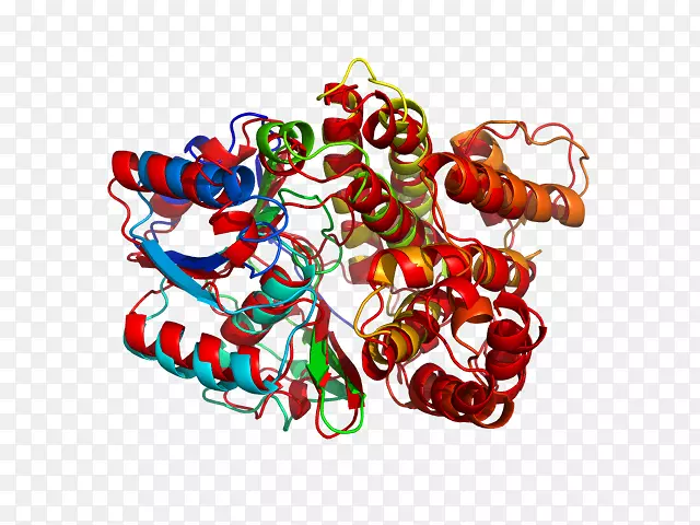 ����ʳƷ����-������