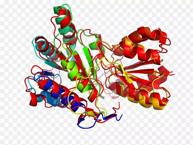 ʳ�������-������