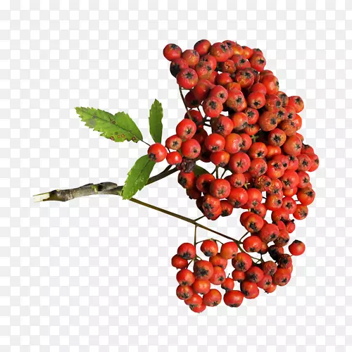 Խ�١��¸���˹��ɣ�غڴ���-������