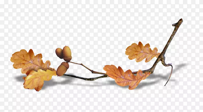 �＾�ļ������ֽ������-����-������