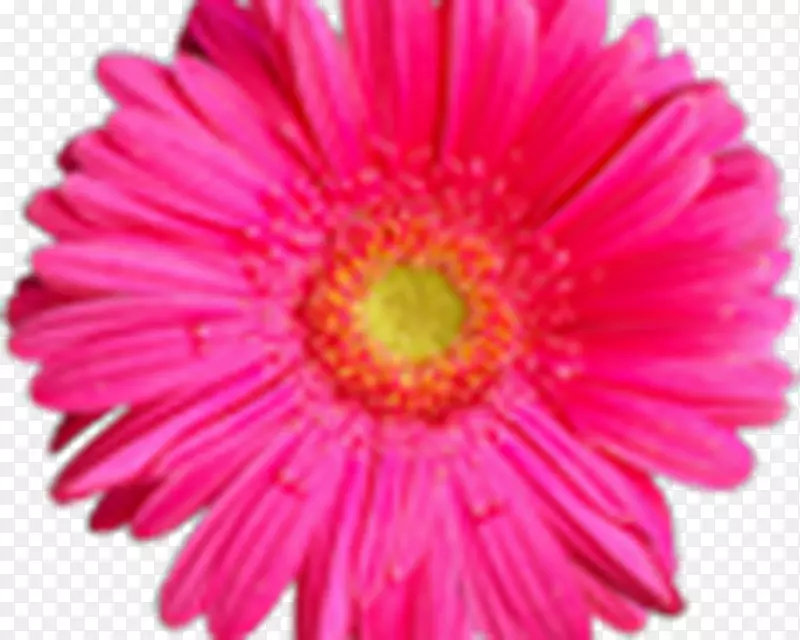 �������񻨻�-����-������