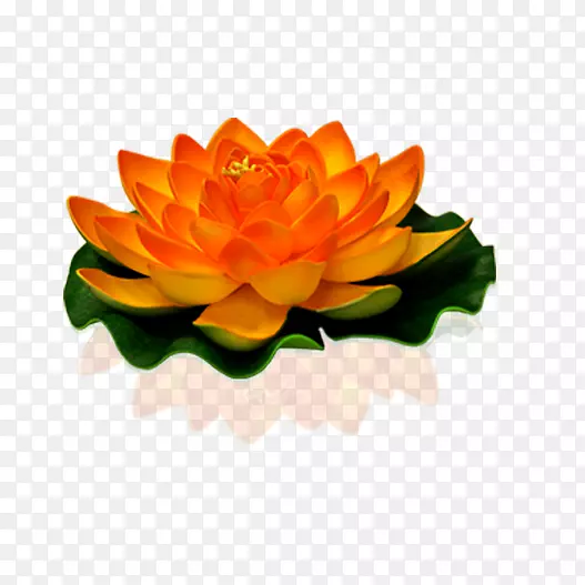 ҹ�յ�����ˮ��-������