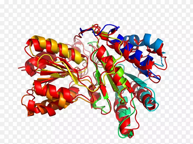 ʳƷ���μ�����.�鱦-������