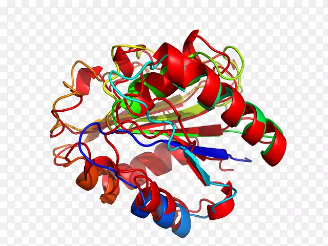 ʳ�������-������