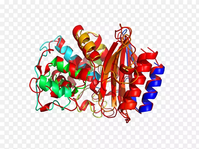 ʥ��װ��ʳƷ����-ʥ����-������