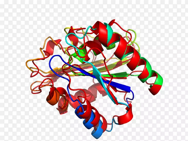 ʳ�������-������