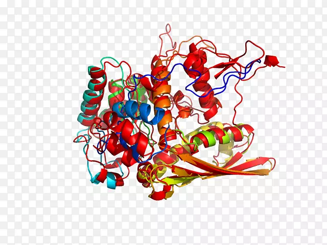 ͼ������������-������