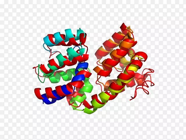 ʥ��װ������-ʥ����-������