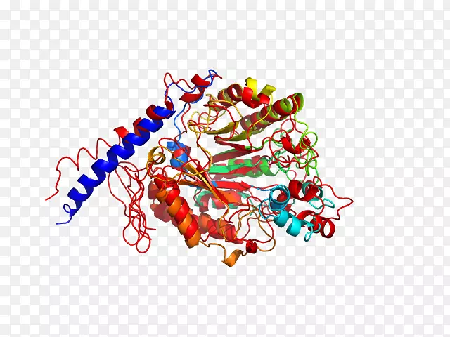 ͼ������������-������