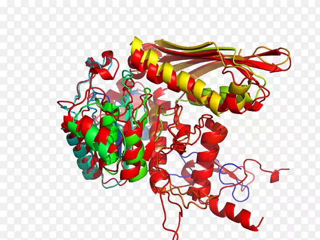 ʥ��װ�μ�����-ʥ����-������