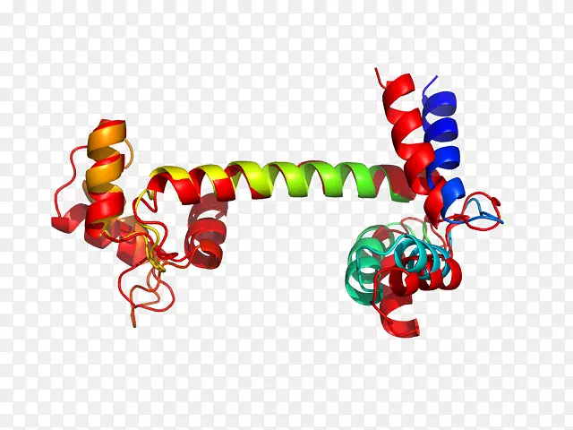 �������鱦����-������