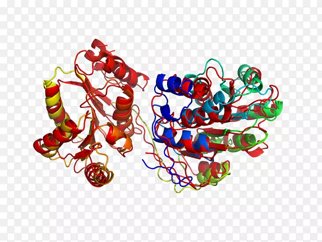 ʳ�������-������